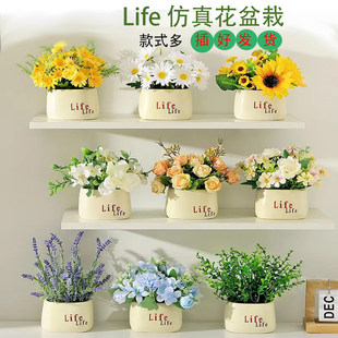 Life�ٻ����滨С�����մɻ����컨���g�͏dչ�d�b[���廨����