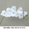 Short 9 fork Phalaenopsis Light blue silk cloth