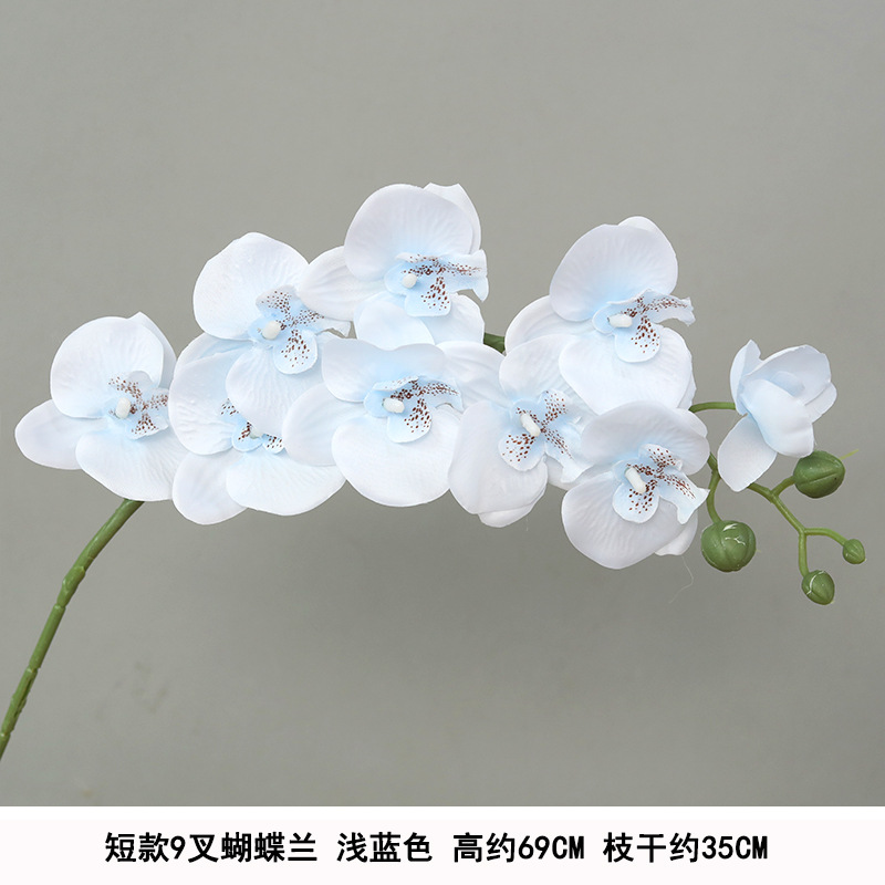 Short 9-pronged phalaenopsis light blue silk