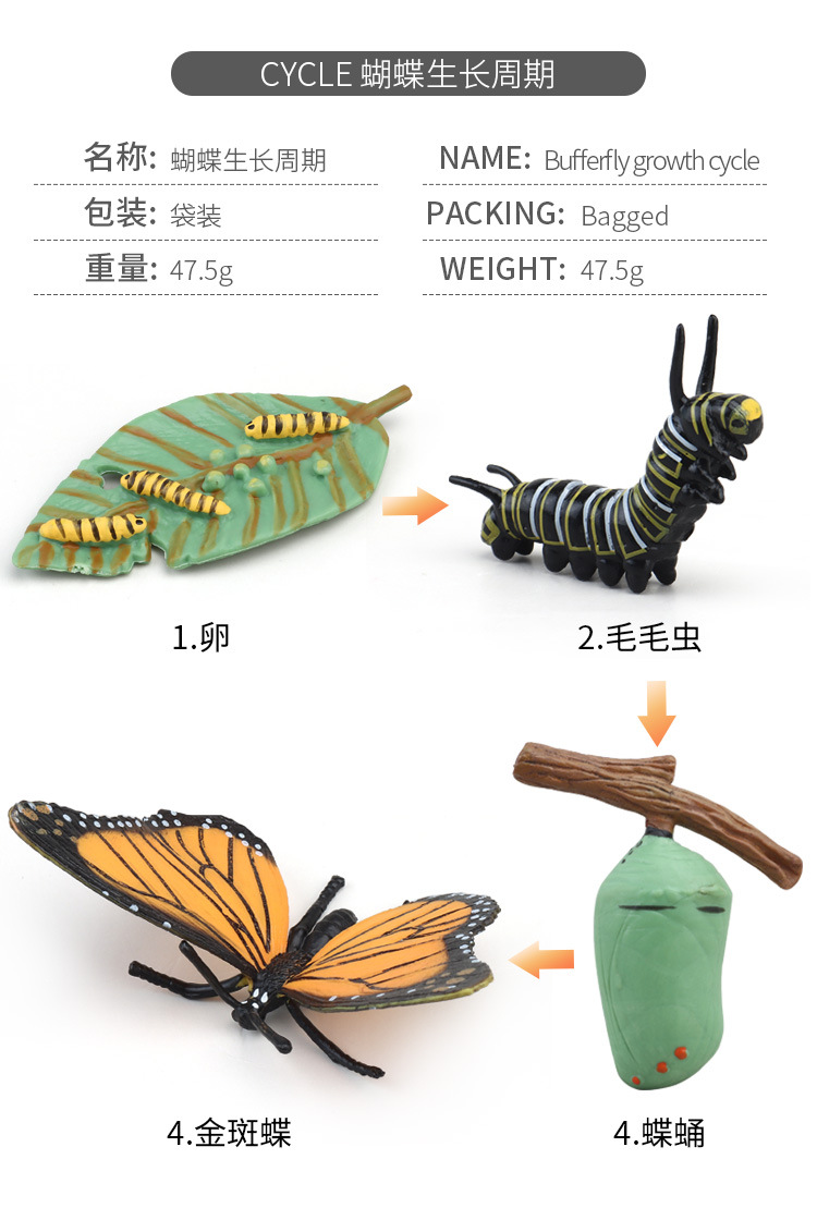 生长周期内页_14