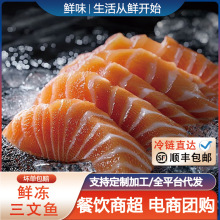 冰鲜三文鱼新鲜现切速冻三文鱼刺身寿司日式料理商用海鲜水产批发