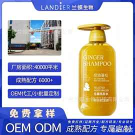 OEM/ODM定制洗发水改善头发控油留香蓬松柔顺洗发乳厂家贴牌加工