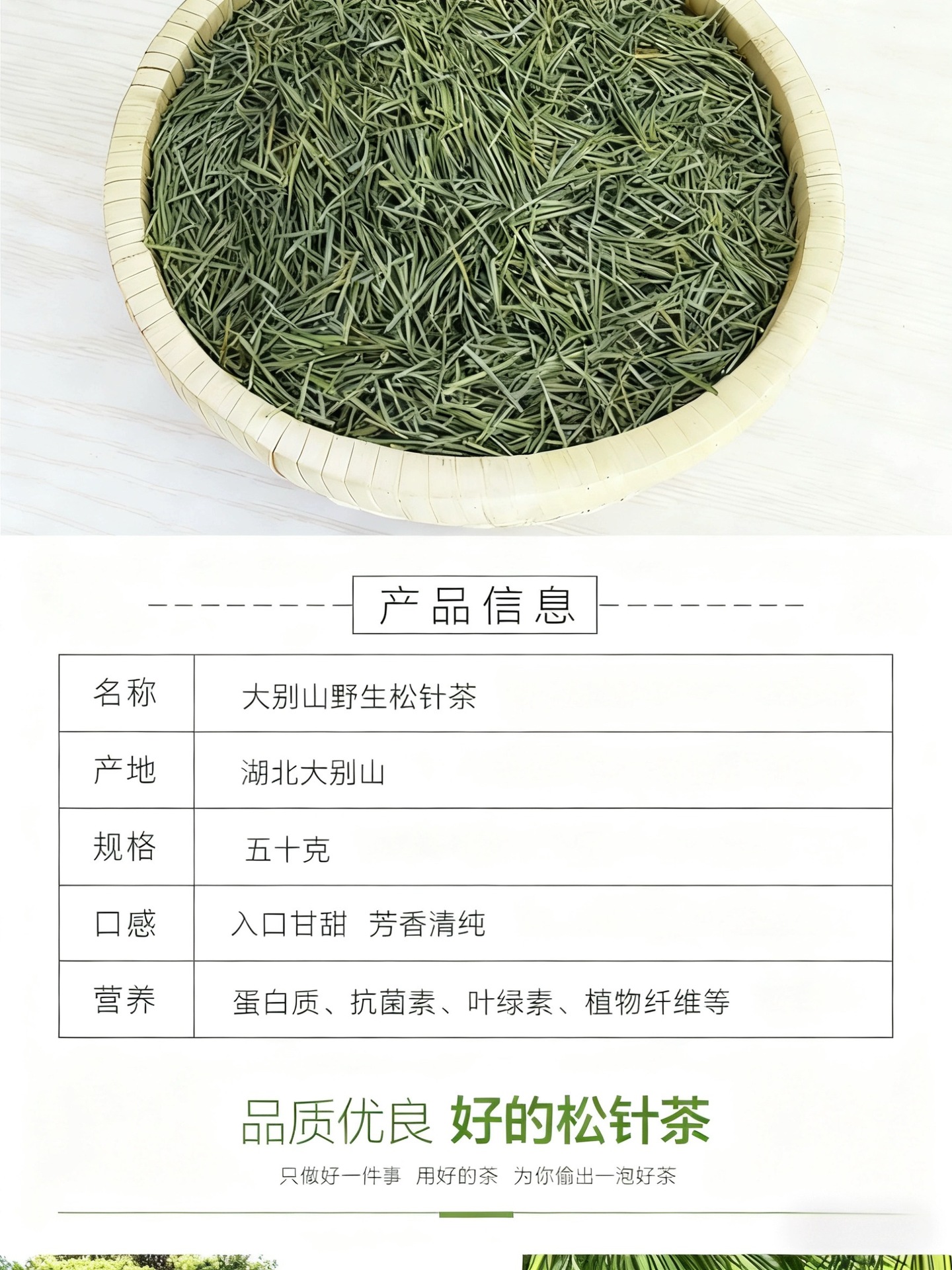 大别山野生松针茶松茶深山采摘马尾松叶茶泡茶干松针干松针松针粉-阿里巴巴
