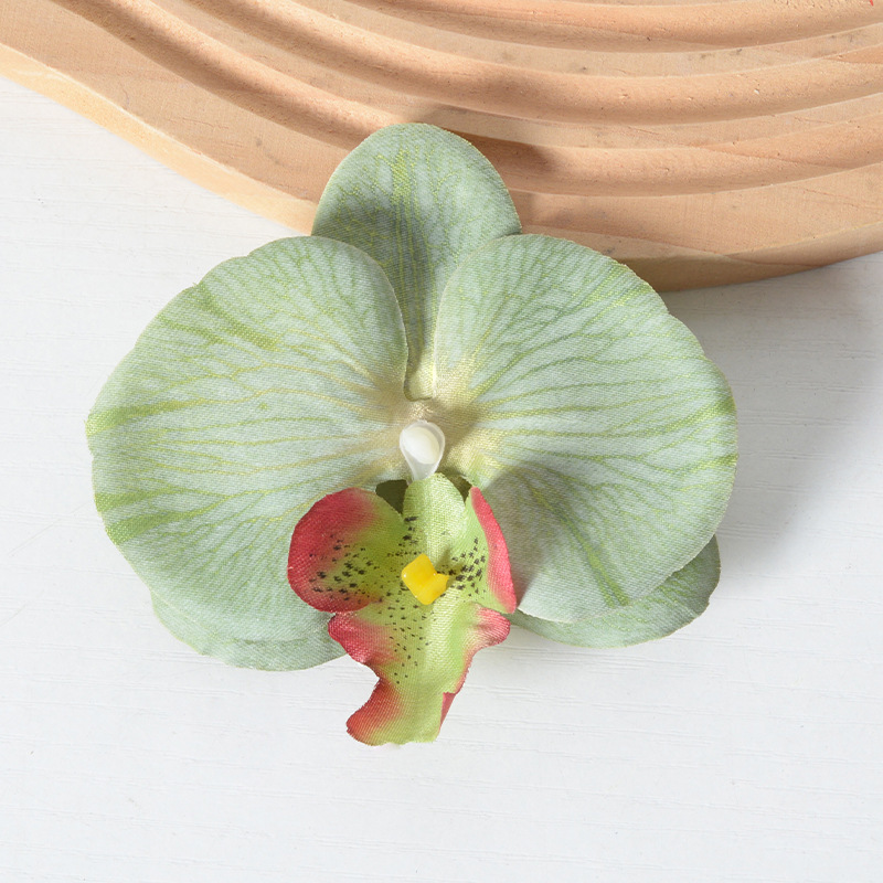 胡蝶蘭の花の頭は花びらの部品をシミュレーションします。|undefined