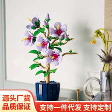 �羳�����ָ߻�10372ܽ�ػ�������������ƴװ��ľ��Ů����������