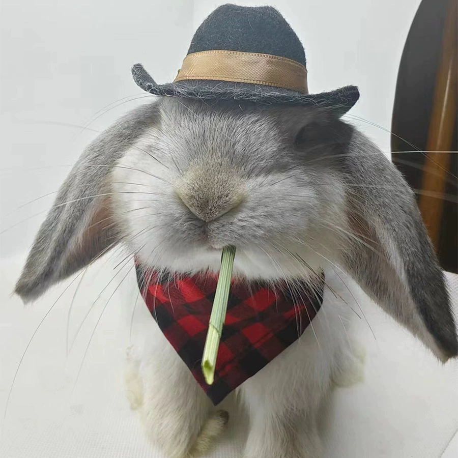 Rabbit, hat, denim eating bib, scarf, pet