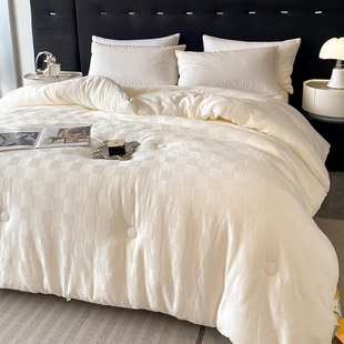 Class A soybean fiber quilt for all seasons universal cotton jacquard spring and autumn quilt space quilt thickened warm cotton winter quilt core