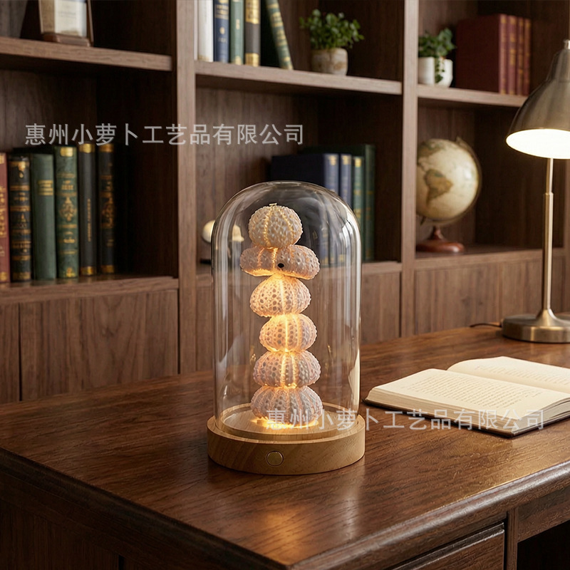 Handmade DIY glowing sea urchin night light with a glass dome and shell-shaped lampshade, a creative gift for your girlfriend on the Qixi Festival Handmade DIY glowing sea urchin night light with a glass dome and shell-shaped lampshade, a creative gift for your girlfriend on the Qixi Festival