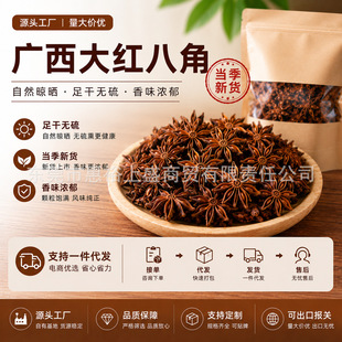 �羳anise�V����t�˽�������؛�o��˽Ǹ�֦�˽����ϴ�ȫ�u�ϴ�