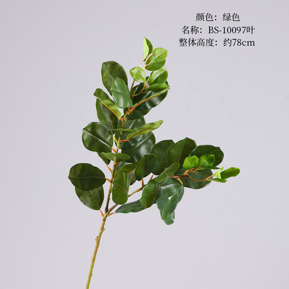 BS-10097 Leaf-Green