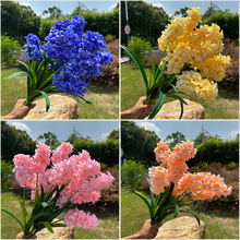 3�^�ָ��L���ӼҾ��b����l�ָЎ��~�L���Ӽٻ��L��������ˮ�ɻ�