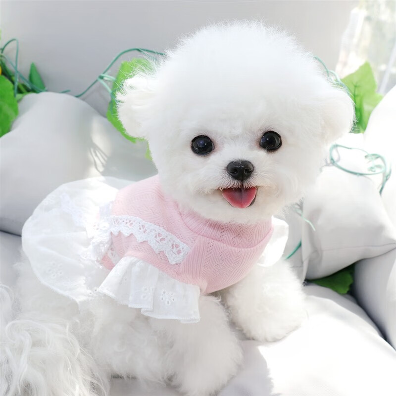 Dog dress, Teddy Poodle Princess dress, spring and summer thin style summer clothes, pet Chihuahua small puppy