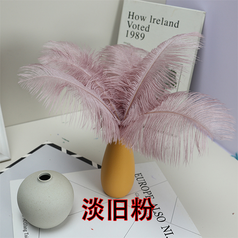 Plumas de avestruz bodas blancas de avestruz guía de plumas accesorios de fotos adornos rojo rosado en línea grandes plumas decoración