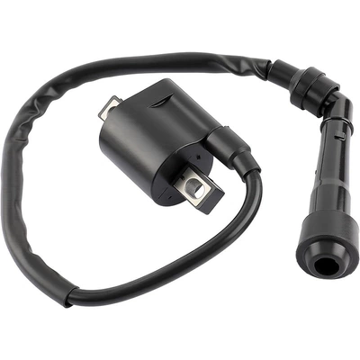 Alovlanma bobini (Babinalar) package ignition coil