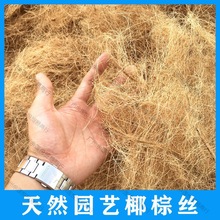 海南防虫面盆盆栽全国艺用椰铺面装饰植物天然椰壳棕丝填充物石