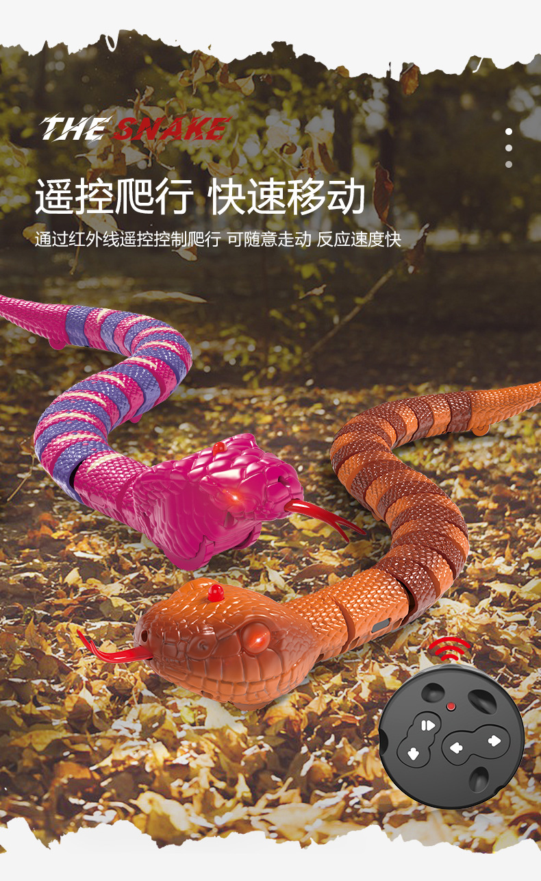 遥控蛇_04.jpg