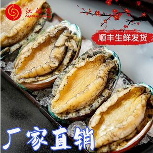 �����L�������ЙC���r����U�~10���b500g�B�����r�������S��ֱ�N
