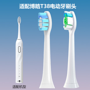 �m��Prooral���늄���ˢ�^T38/T09/T31/T1/T33������Q�^ͨ��