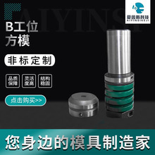 数控转塔冲床模具配件 薄塔B工位方模厂家亚威大东台励福