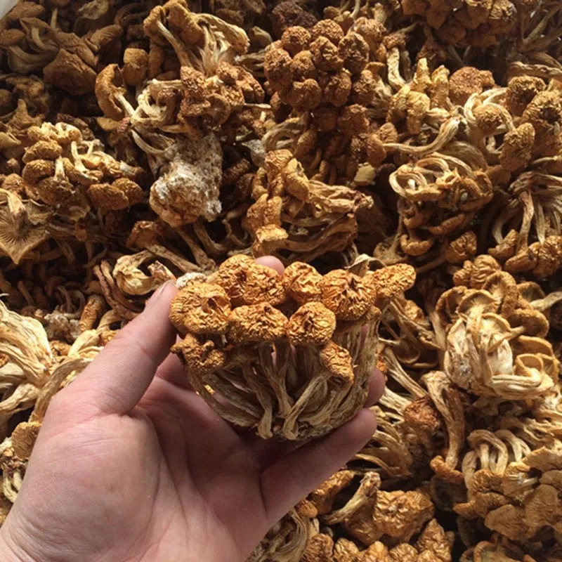 微信图片_202105281535536