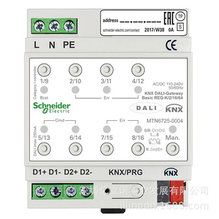 Dual channel DALI gateway MTN6725-0004 Morton KNX intelligent lighting system dimming color controller