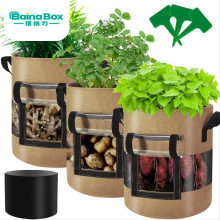 羳7ӁҕLNֲ  Ӻot}ֲ