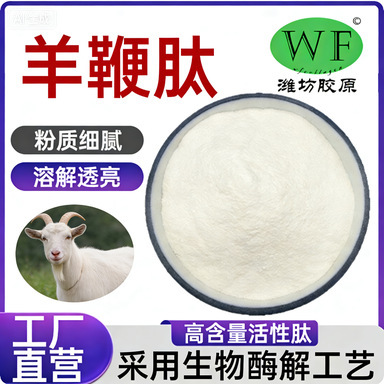 Sheep Whip Peptide Sheep Whip Oligopeptide Powder Protein Peptide Powder Sheep Whip Collagen Water-Soluble Sheep Whip Peptide Powder Sheep Whip Peptide Sheep Whip Oligopeptide Powder Protein Peptide Powder Sheep Whip Collagen Water-Soluble Sheep Whip Peptide Powder