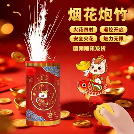 机器人模型;遥控车;球类