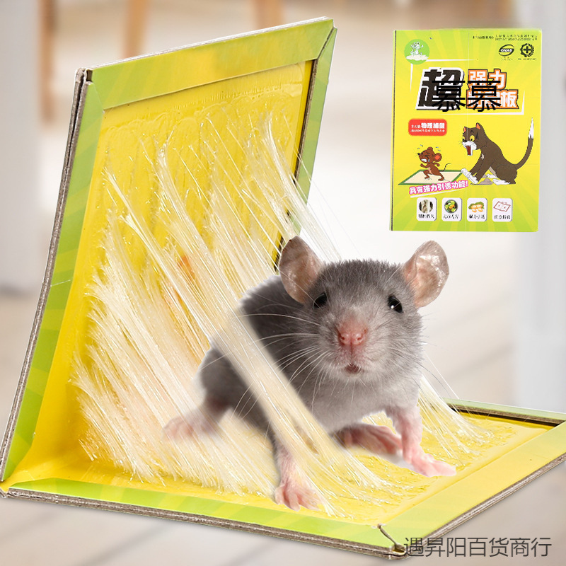 捕鼠粘鼠板  家用老鼠笼沾胶夹药抓捉大老鼠贴驱粘合力强量大优惠