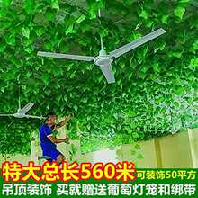 ���������~�ٗl��픘��~�b��پGֲ��ٻ��������Ϲܵ��p�@�G�~