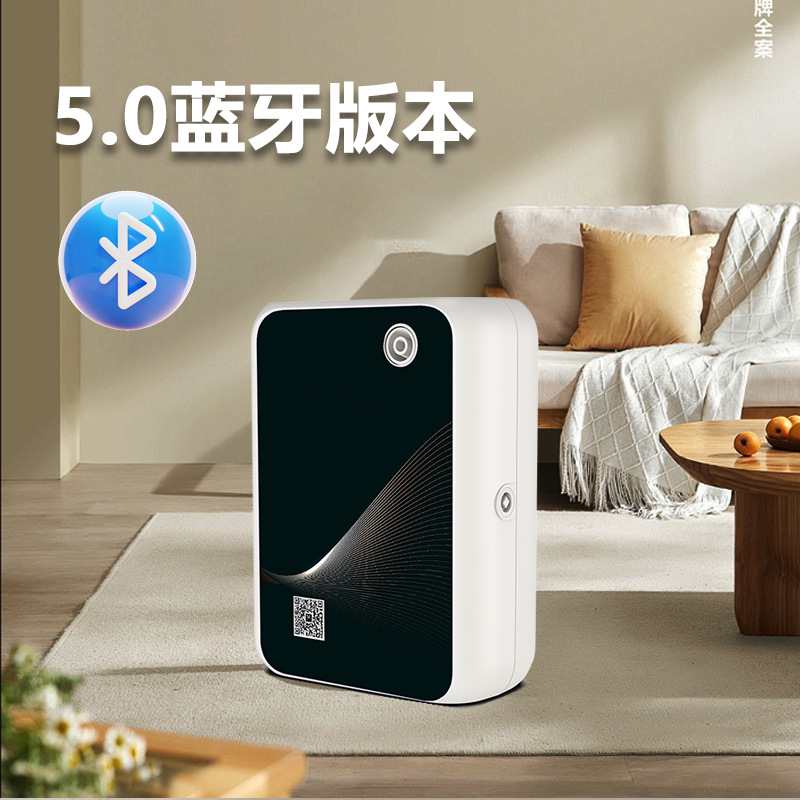 단일 Bluetooth 버전 흑백 패널