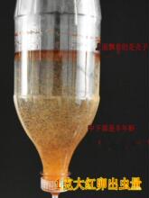 �мξ�Ʒ��t���S���r�u�x��  ���Ϳ�ȸ�߲ʼt����ˮ��ˮĸ�~���