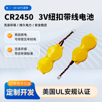 深圳工厂大电流纽扣电池 价格标签ESL高容量电池带插头引脚CR2450