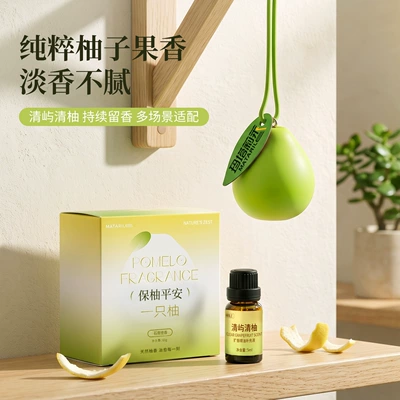 grapefruit diffuser hanging ornament, Car hanging