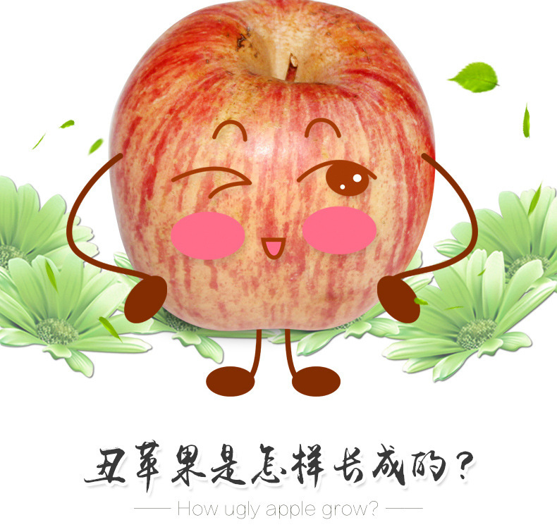 丑苹果_03
