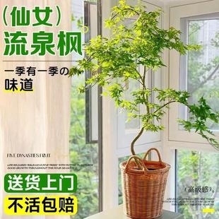 �����S����Ȫ�������҃ȿ͏d����ֲ���߱�����W�t�U���k�����辰