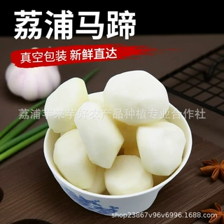 广西荔浦马蹄荸荠新鲜去皮白马蹄肉糖水削皮冷冻真空包装商用乌芋