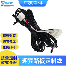 成都厂家定制汽车迎宾插头踏板线束带保险盒连接器定制线束