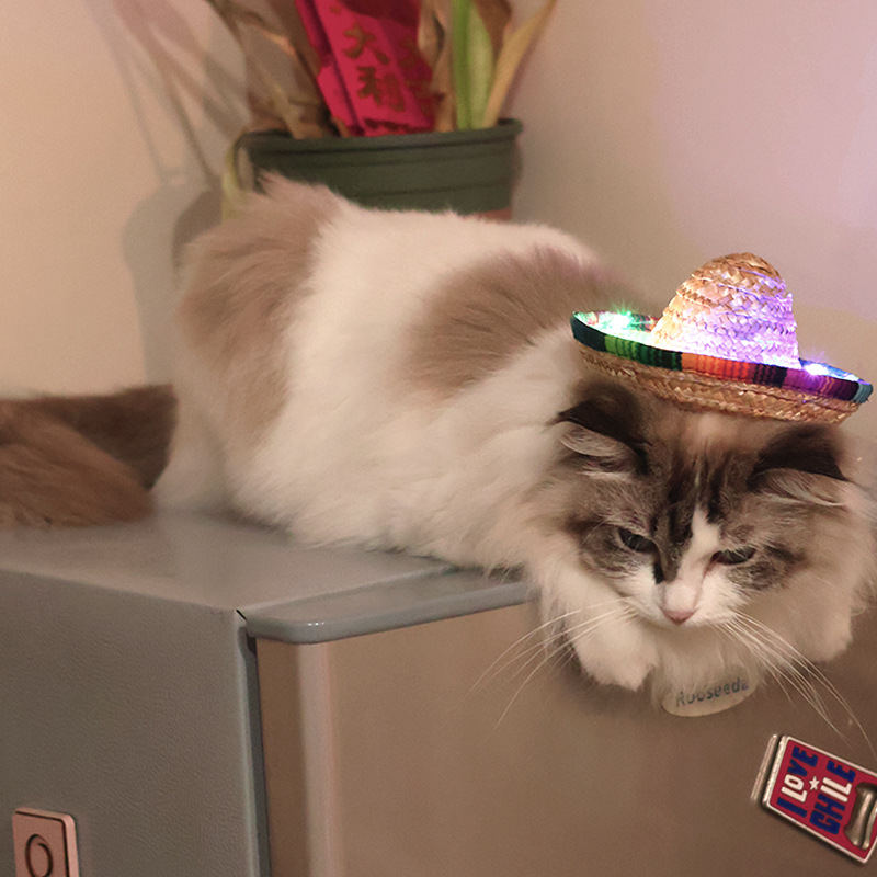 Halloween sombrero de fiesta de cumpleaños para adultos, niños, mascotas mexicanas, sombreros de paja luminosos LED