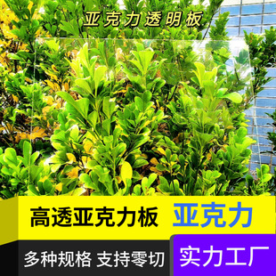 ������͸����0.6mm&mdash;&mdash;100mm�������l�и��̟������ƏV���