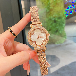 ���Q����Ů��羳��̱���ʯӢŮʿʯ���ֱ팍�ĸ߶�䓎��ֱ����l