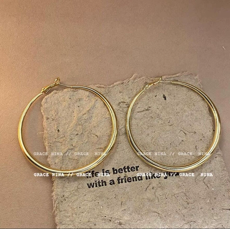 Silver 925 Earrings — Light Luxury Hoops & Drops, High-Quality Sterling, Multiple Sizes