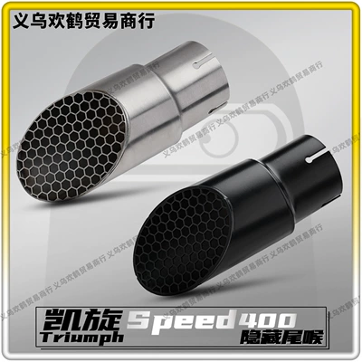Tailpipe for Triumph | Motorcycle exhaust pipe