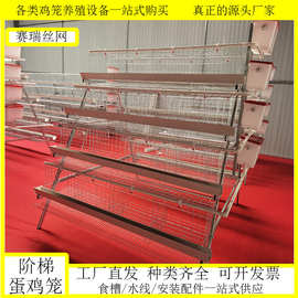 三层四层阶梯式蛋鸡笼 笼具家用养殖场用自家工厂鸡舍鸡窝