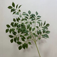 手感仿真树叶 插花绿叶子柏竹叶柳叶墙面装饰 婚庆仿真植物榕树叶