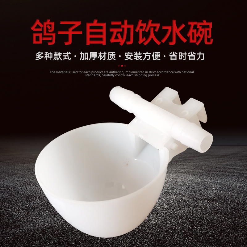 Tazón de agua de la paloma bebedor automático Loro Bird bebedor automático paloma caja de comida caja colgante bebedero