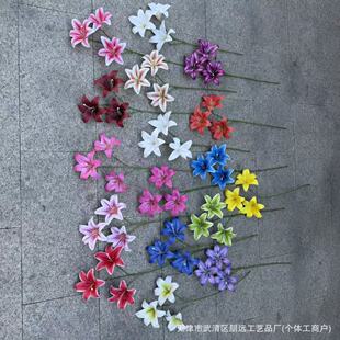 3�^�ٺϻ��zƬ���滨��c�ҾӔzӰ�bٻ���֧�zƬ3�^�ٺϏS��