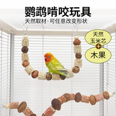 オウムはおもちゃの牡丹虎皮玄鳳をかじって歯ぎしりをします。