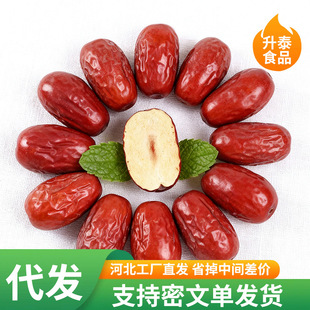 �½��t����Ǽ�җ�ˮϴ�������l ˮϴ������Ǽ�����Ҝ����Ӽt��