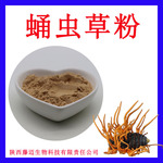蛹虫草粉支持检测子实体蛹虫草粉原粉现货蛹虫草花粉